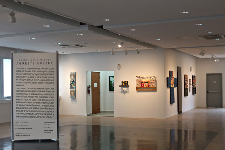 22-CCG-Pinturas_Ensamblajes-6711