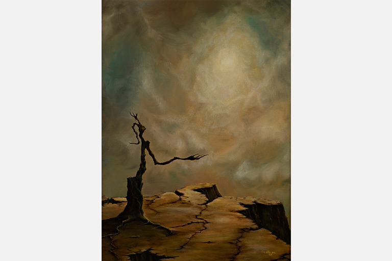 RECLAMACIÓN DE LA NATURALEZA • 1978