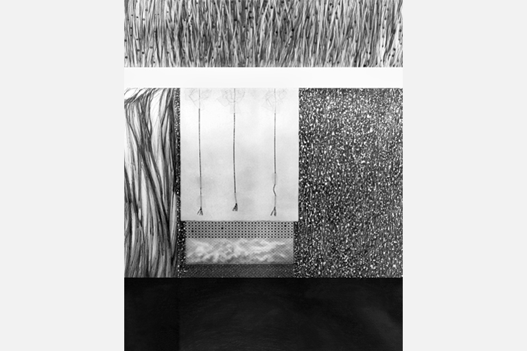 ARTISTAS EN EL PAISAJE • 1983 • Colección Banco Santander-PR