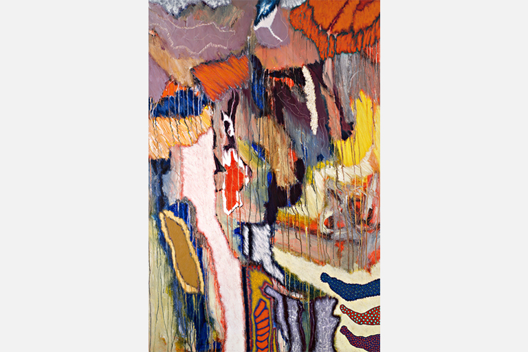 ECOSISTEMA EVOLUTIVO • 1993 • Colección Aidiliza Levis