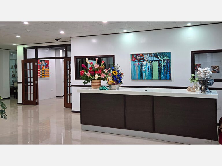 Vestíbulo del Canyon Boutique Hotel, Barranquitas, PR